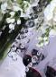 Preview: Kristallgirlande, L=1m