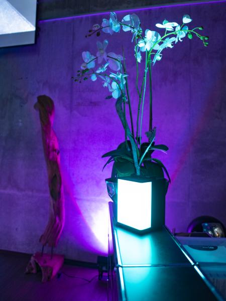 EUROLITE AKKU UP-1 Glow QCL Flex Spot QuickDMX