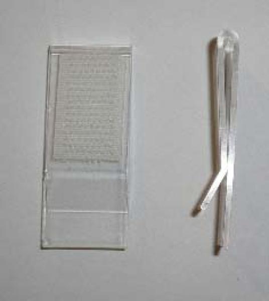 Skirting Clip Ü (Überlappung Clip)